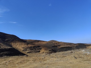 1000015541