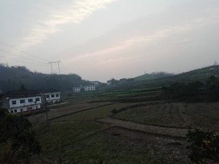 3052436