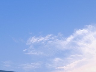 1619012