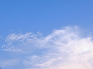 1619011