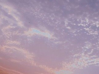 1692572