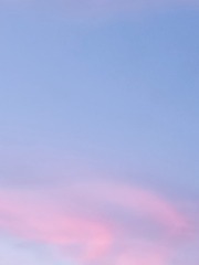 1619007