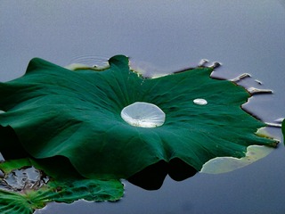 108981