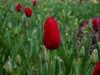 0114FE0B-12B1-4F05-8BD3-3864AABA868A/L0/001