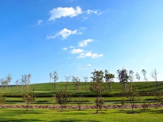 R0024792.JPG