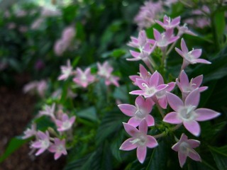 R0024475.JPG
