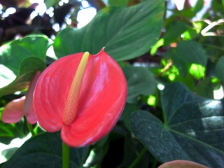 R0024487.JPG