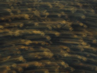 797D01D0-1059-425D-979D-C3193A86CED5/L0/001
