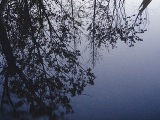 E5AA08D0-6EE2-45F5-9438-4D9857FFC26D/L0/001