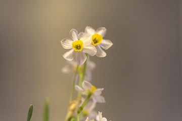 258353