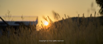 E5EC9BDA-5D20-402E-94BA-810F301BB97E/L0/001