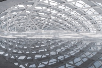 1000009077