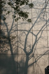 24AE930F-A1A0-4044-8D47-B0C66CD65DC9/L0/001