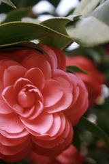 AE5885BC-47C5-418C-87C6-4B1018758524/L0/001