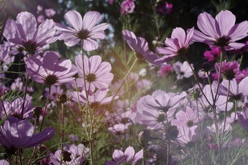 98D2B4FA-C7A4-4BE3-A16C-61F79D7CFEDD/L0/001