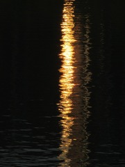 1000164017