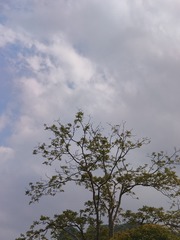 1000046550