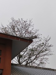 1000044846