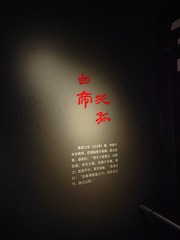 1000049112
