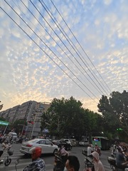 1000049693