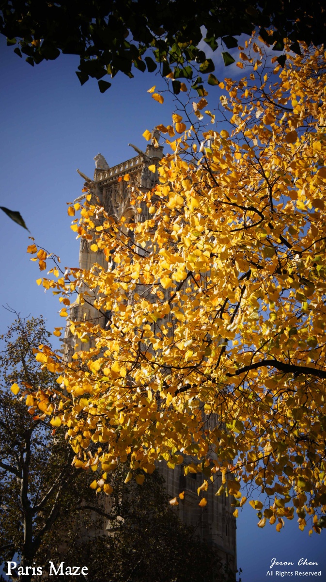 autumn - paris, autumn, love - autumn - jeron_chen - 图虫摄影网