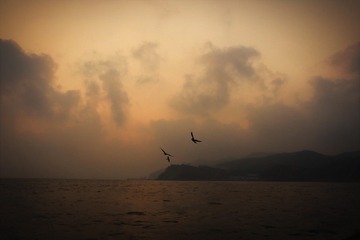 7DBBA6D7-FC6D-4061-A530-67B24B1C1D87/L0/001