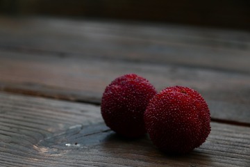 D15C8814-DFE7-450E-9363-6D6D79107BD3/L0/001