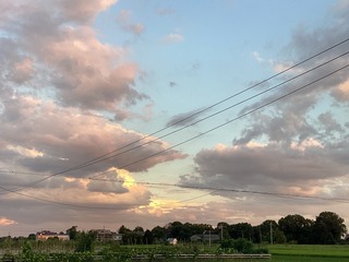 05C76643-ED5D-4712-8A1A-5D9BF88AE21E/L0/001