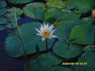 193B27F5-742B-4B74-B312-076460BD8740/L0/001
