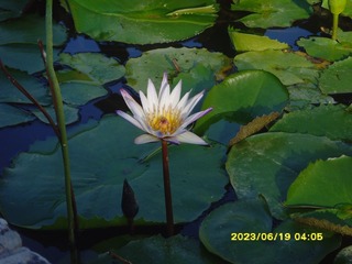 7FE4398E-3CA0-492A-9908-E64ACCD3591F/L0/001