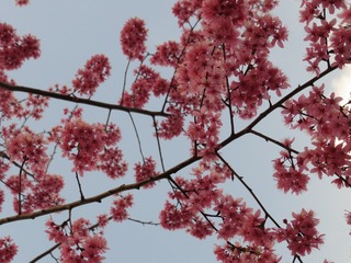 4715D9A8-7975-4647-A6E7-934B7AE253C5/L0/001