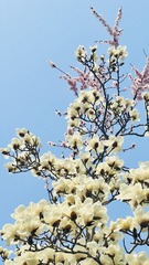 194CD740-2881-4FC0-B16B-425F71C04351/L0/001
