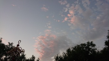 784785