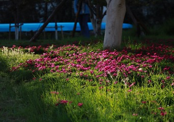 90C1B9EA-FB30-43F8-9388-E84C86A202A8/L0/001