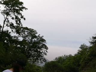 218BDE74-09A8-4861-8CDE-FE92BD442157/L0/001