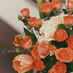 EA9DD179-59DB-468B-9DD4-FF389DF0C85D/L0/001