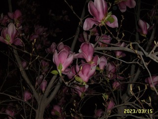2FE2492F-A7EC-4B0B-84C0-3F125C42D3D5/L0/001