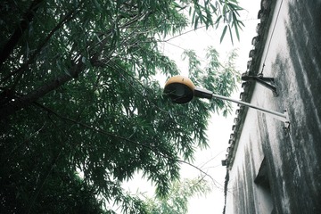DSCF5202