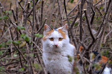 DSC_0082_
