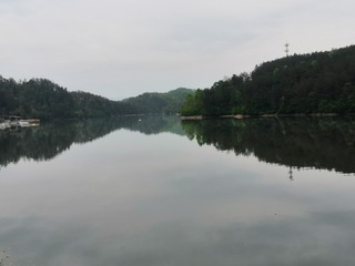 8849416