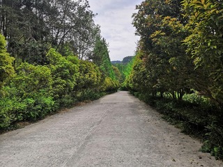 8849390