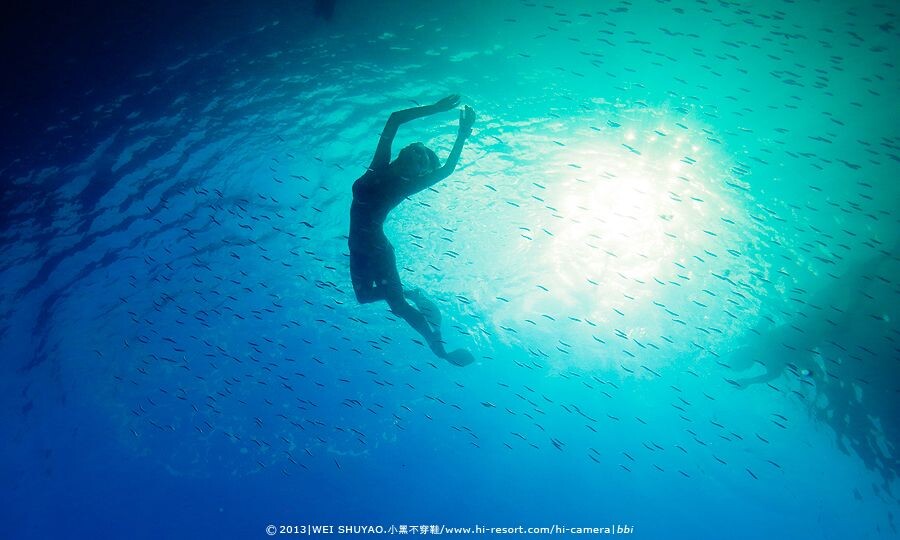 回到这片海<br />