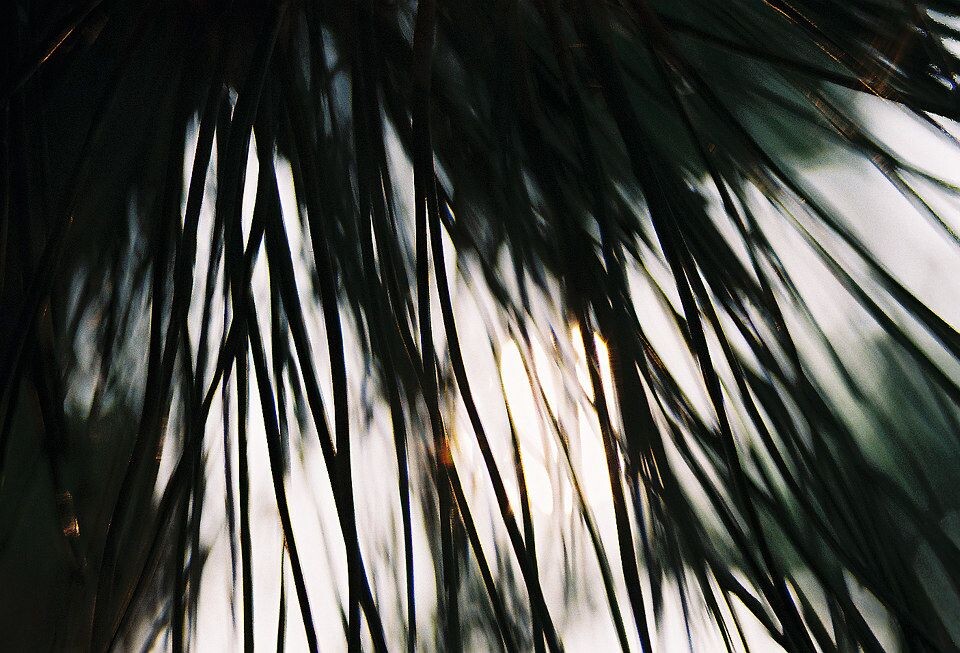 000033<br />
