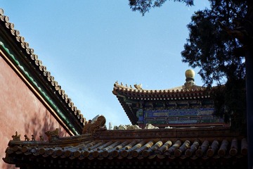 Batch Pict0022.jpg