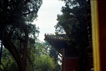 Batch Pict0024.jpg