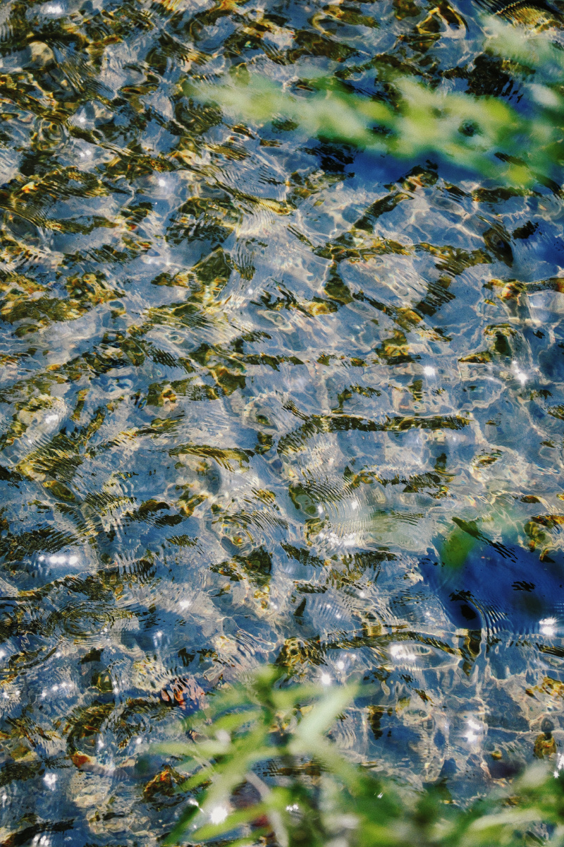 拍到了小石潭记里的场景