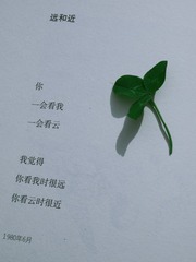 5A6D3419-7D93-4F90-8389-AEE0211FBEE6/L0/001