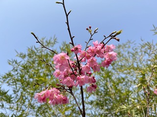 F0562AD1-E985-4189-B0B4-1102910AD995/L0/001