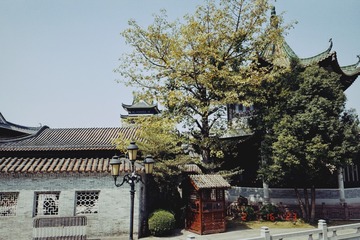 E3B2AE65-15ED-490F-A1CA-2CDBD9C7139F/L0/001