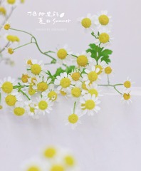 7DA0FD9A-AC5B-4E70-8F08-1D5E0F8CE32F/L0/001